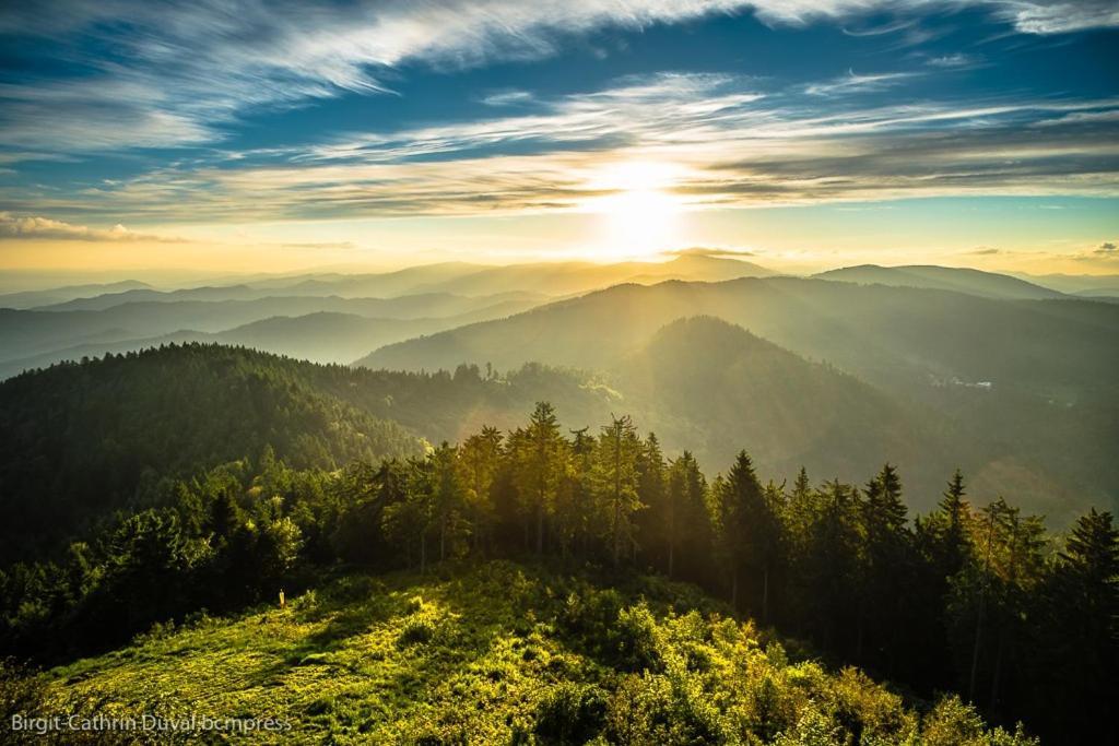 Schwarzwald-Traum Mit Pool Und Sauna Unterkirnach Bagian luar foto