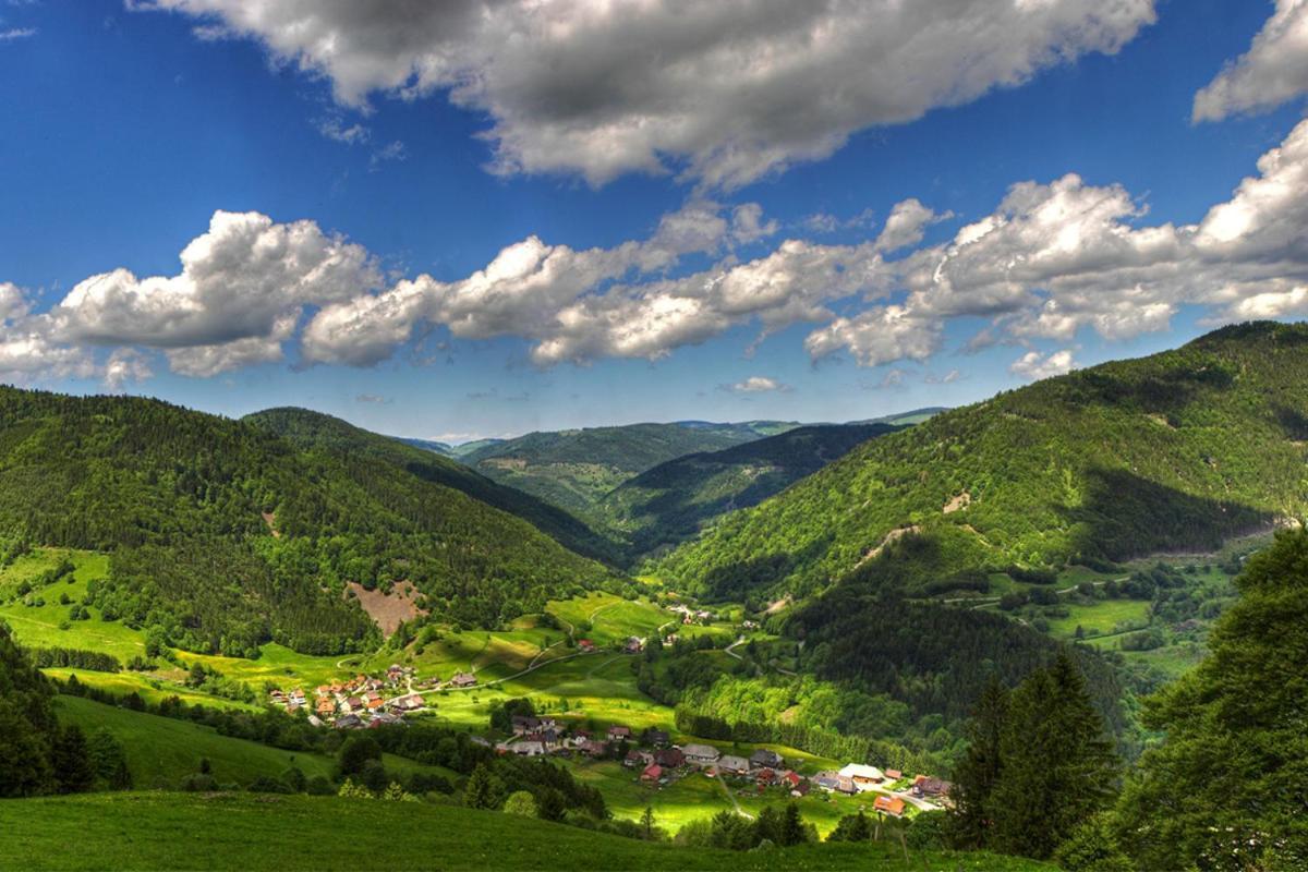 Schwarzwald-Traum Mit Pool Und Sauna Unterkirnach Bagian luar foto