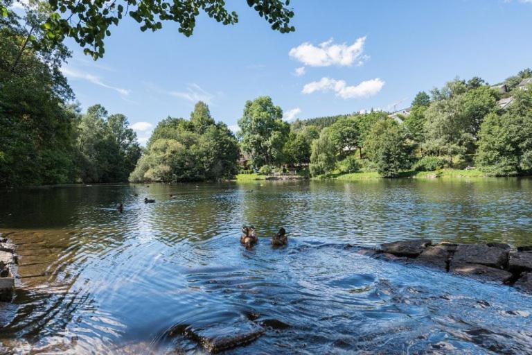Schwarzwald-Traum Mit Pool Und Sauna Unterkirnach Bagian luar foto